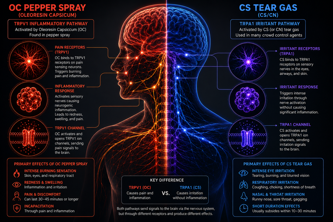 Pepper Spray and Tear Gas Forces Two Different Neurological Pain Pathways